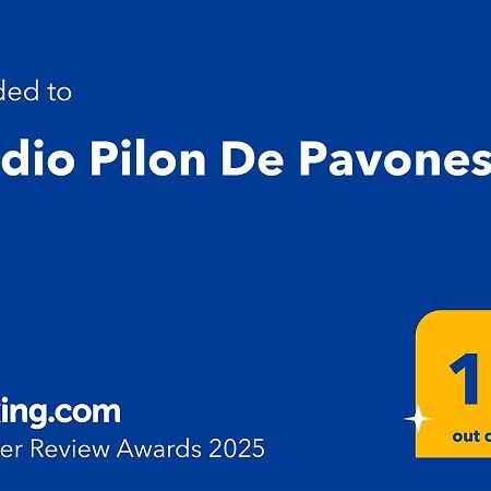 Studio Pilon De Pavones Pavones  Buitenkant foto