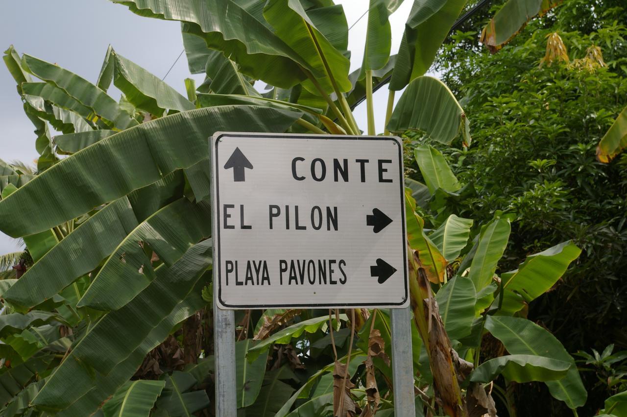 Studio Pilon De Pavones Pavones  Buitenkant foto
